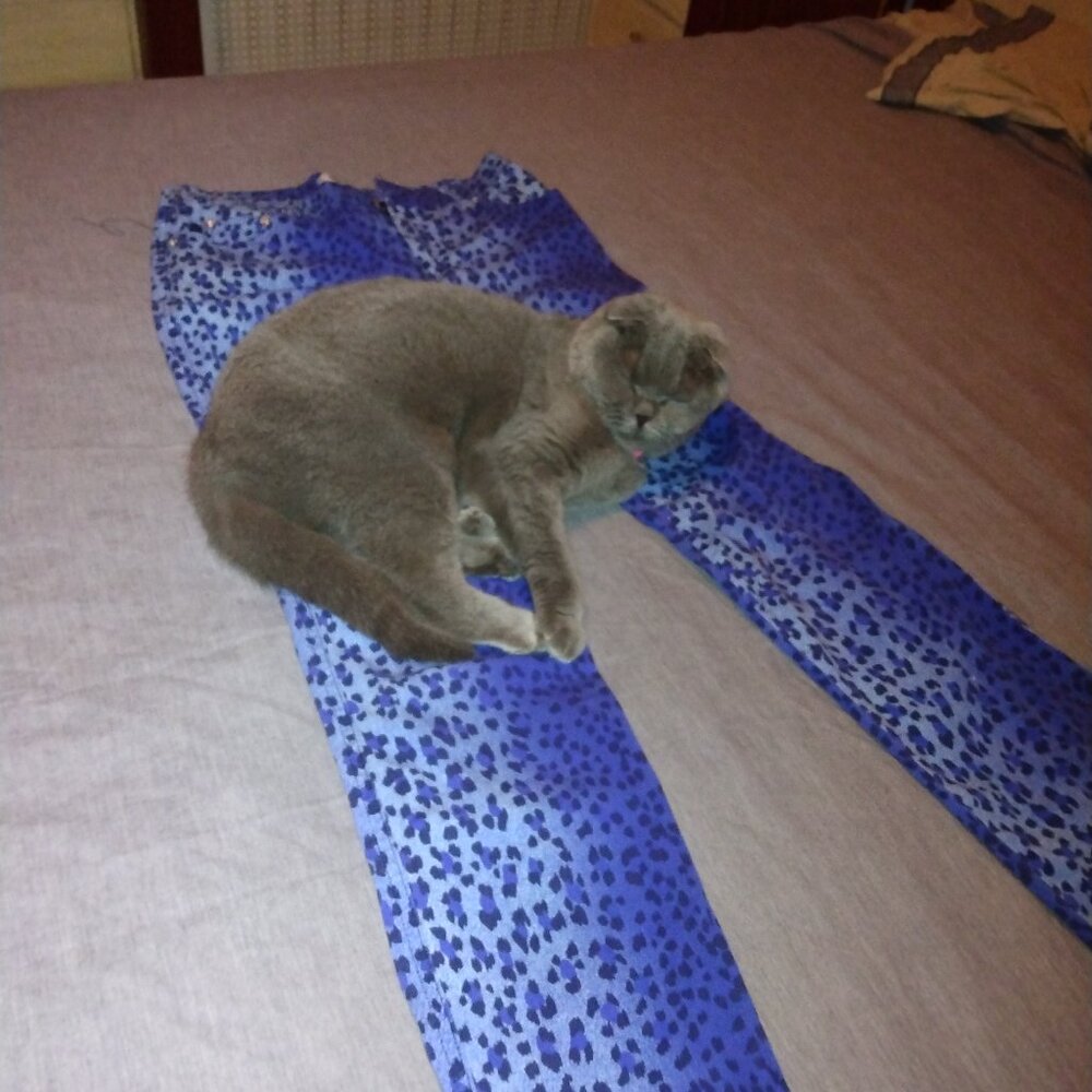 Moschino Leopard Cotton Jeans Blue